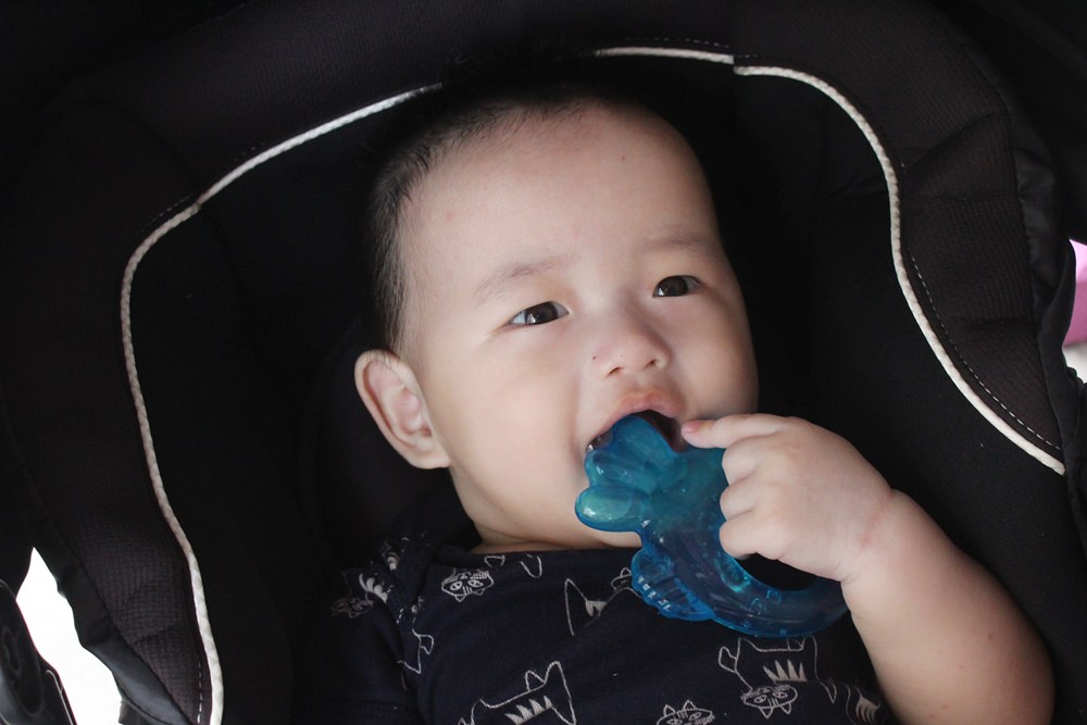 【育兒好物】NUK固齒器推薦！寶寶長牙期的必備品～