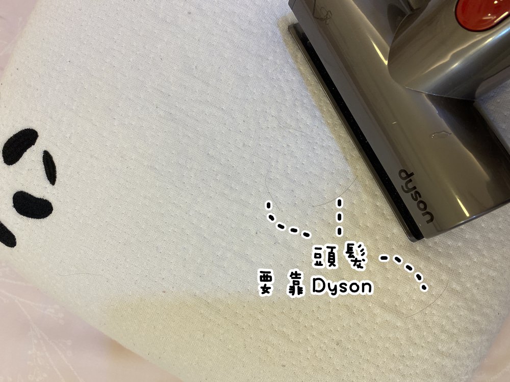 【除塵螨機比一比】IRIS Ohyama除塵螨機三代IC-FAC2 vs. Dyson V11，到底要買哪一台?