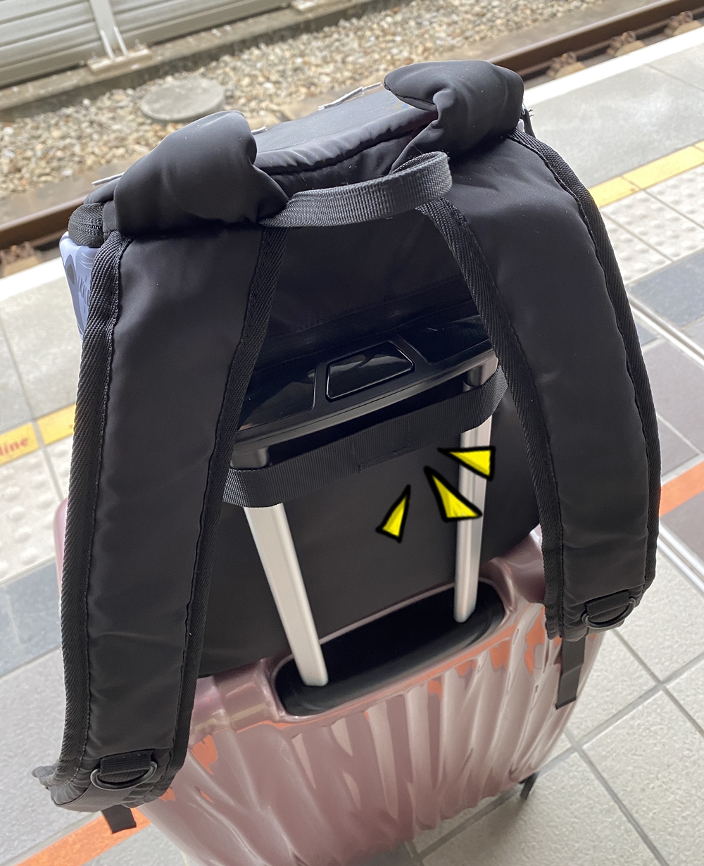 NaSaDen納莎登 動物摺耳包後背包 貓咪背包 可套在行李箱上的背包示範