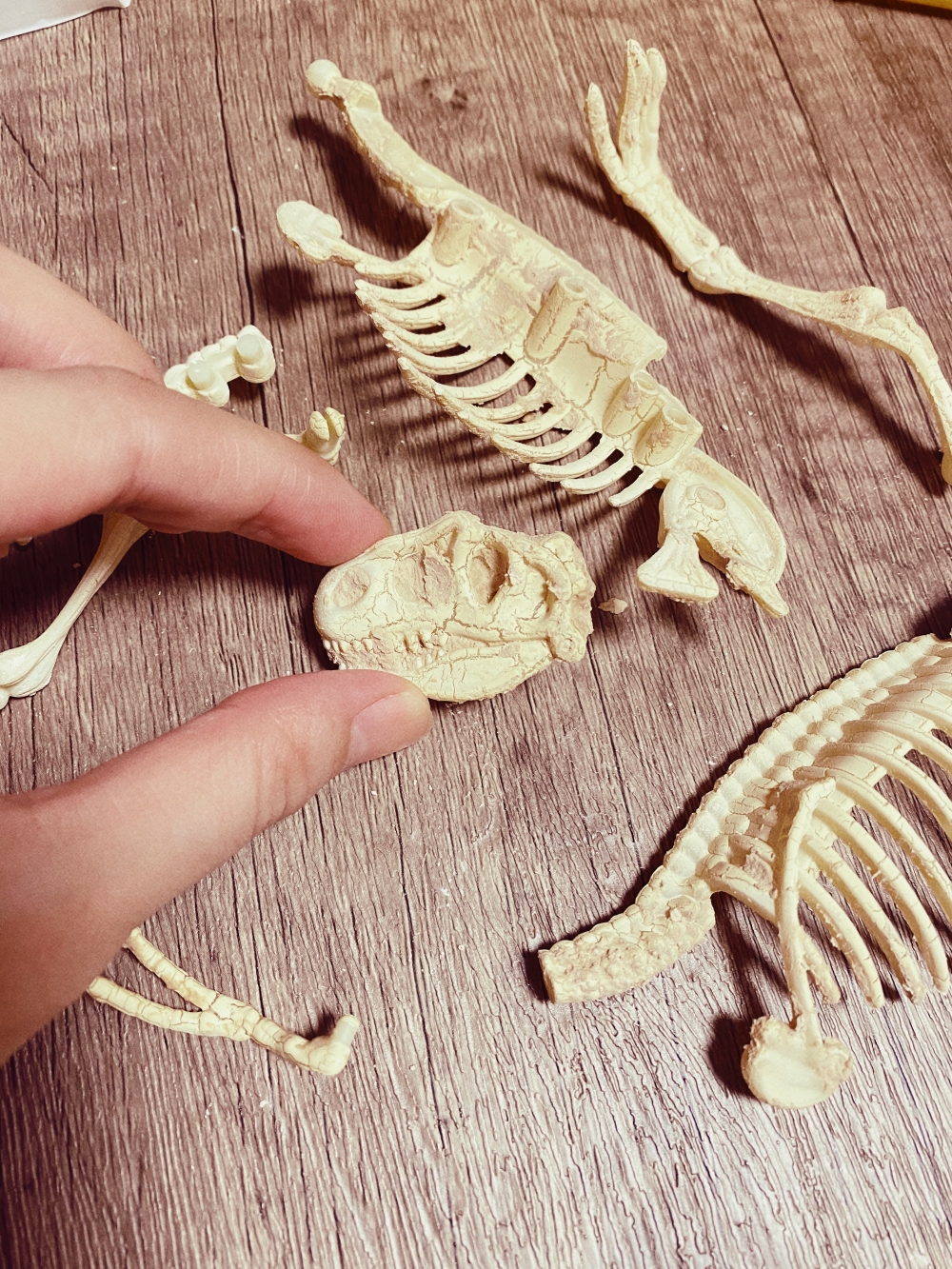 【育兒好物】化身小小考古學家，JoanMiro恐龍化石DIY挖掘遊戲，宅在家也不無聊！