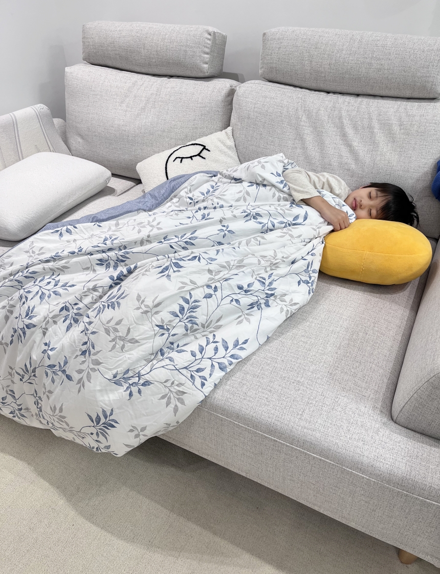 舒服到可以睡著的沙發 平價沙發推薦 佶品沙發工廠訂作沙發心得