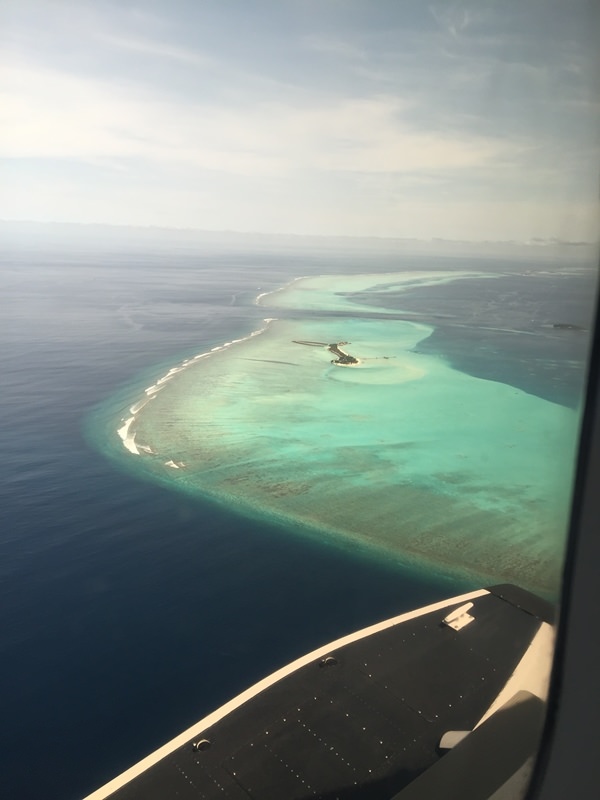 Honeymoon Maldives 馬爾地夫蜜月行-Maalifushi by COMO 新加坡航空-馬列貴賓室-小飛機-水上飛機+接駁水上快艇篇 (97)