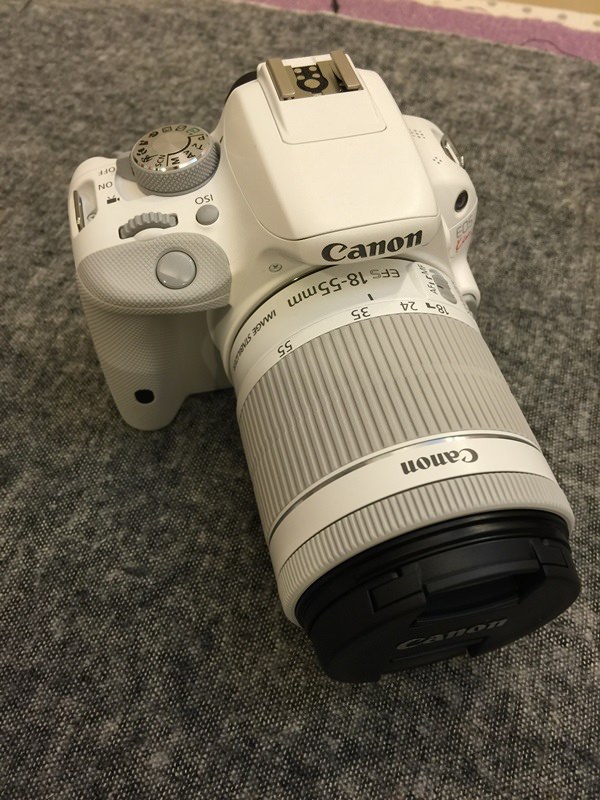 佳能Canon EOS Kiss X7 100D世界最輕最小單眼-白色適合女生-新垣結衣-日本Big Camera京都大阪戰利品 (20)